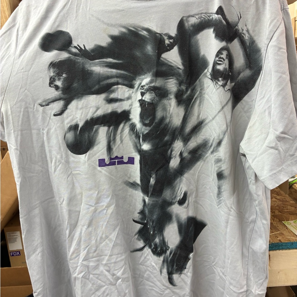 Vintage LeBron James Graphic T-Shirt - Gray (2010)